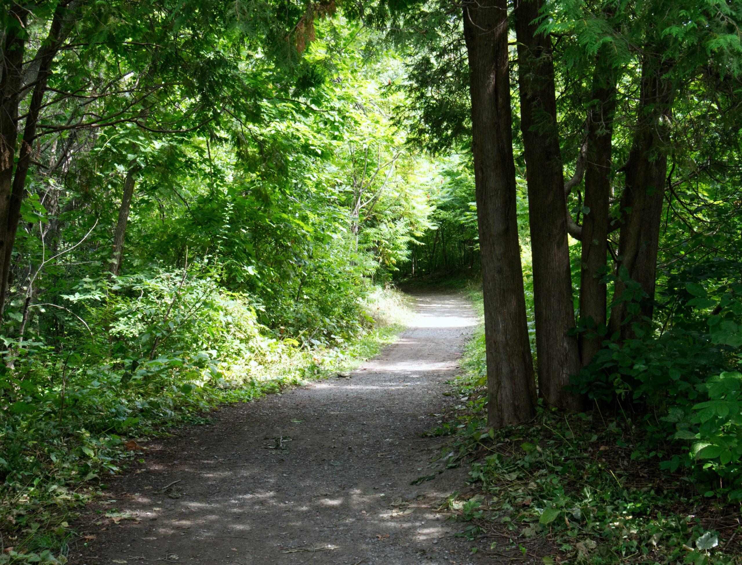 Grief Gift Meditation Moment