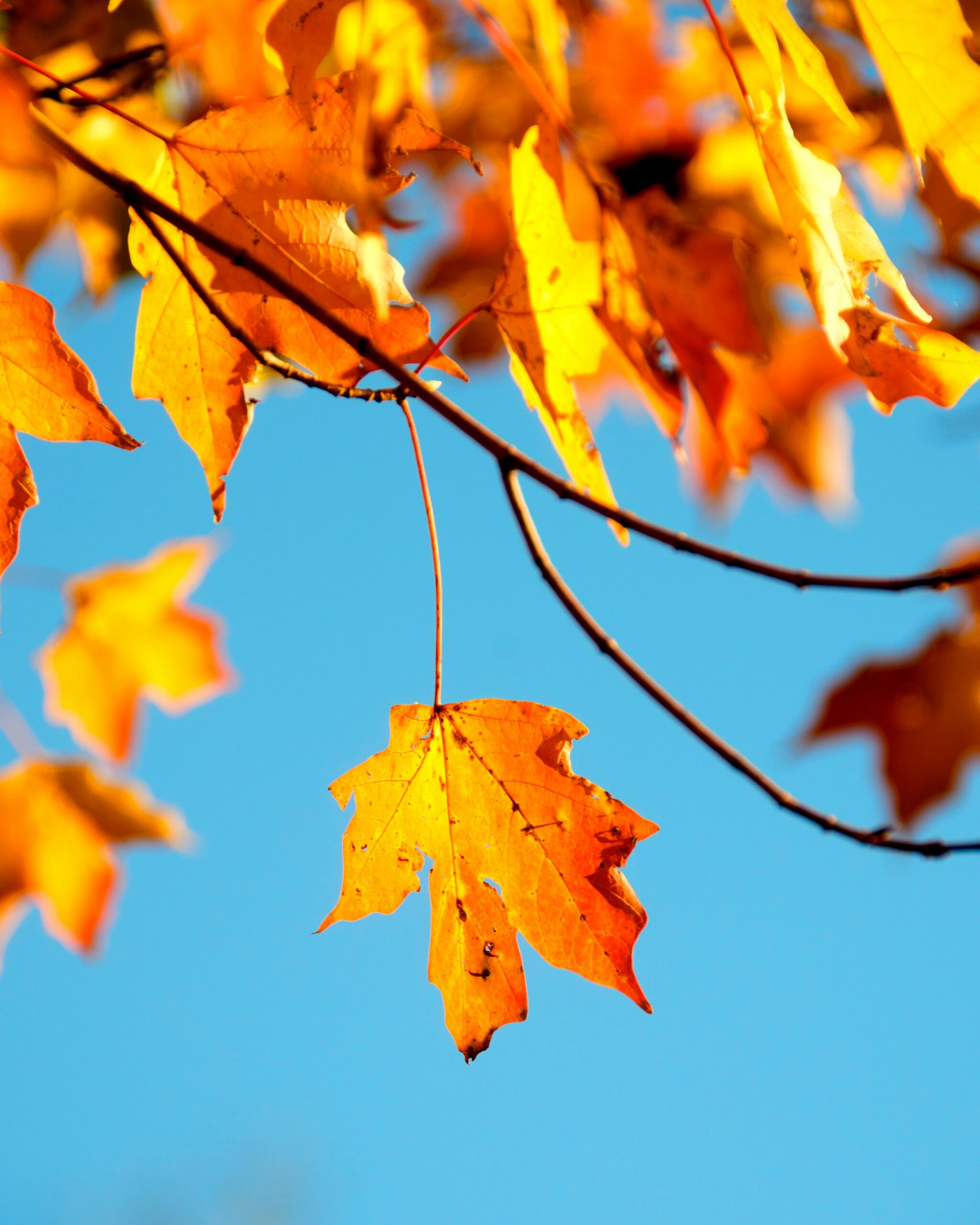 Autumn Equinox… A Year Later